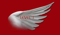 Level-1sm